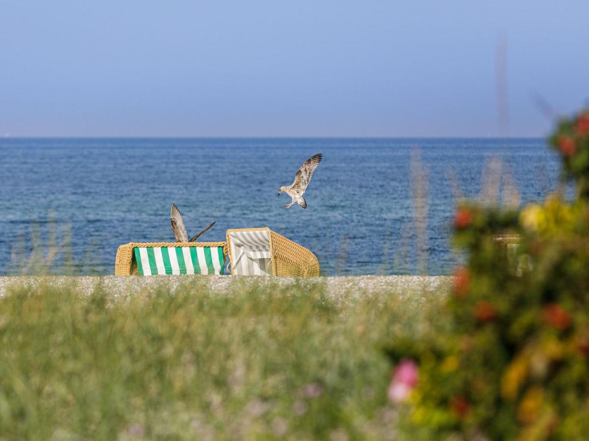 Aparthotel Zingst Buitenkant foto