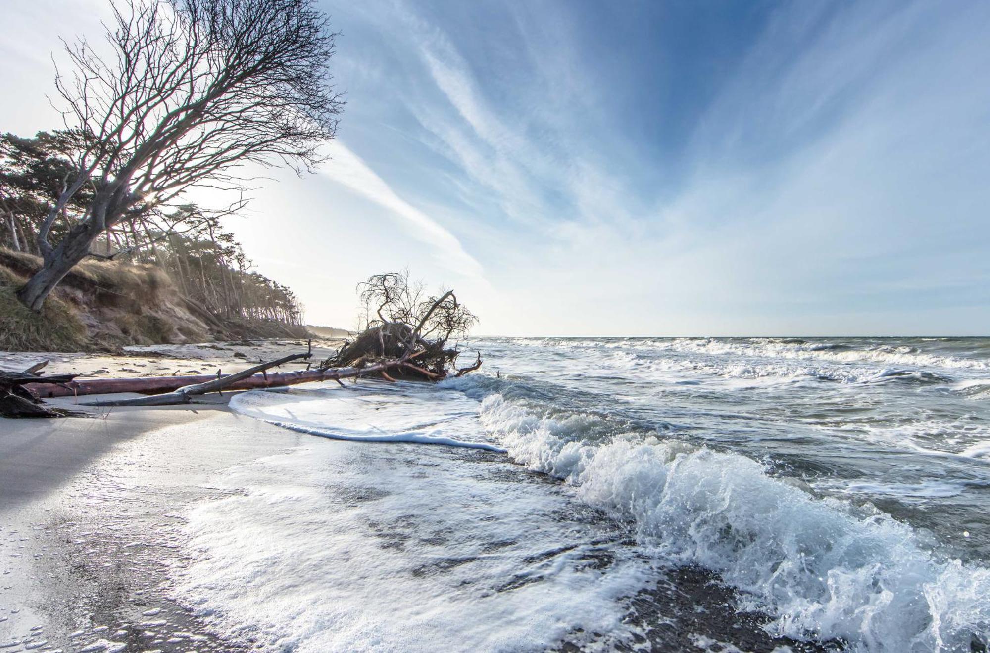 Aparthotel Zingst Buitenkant foto